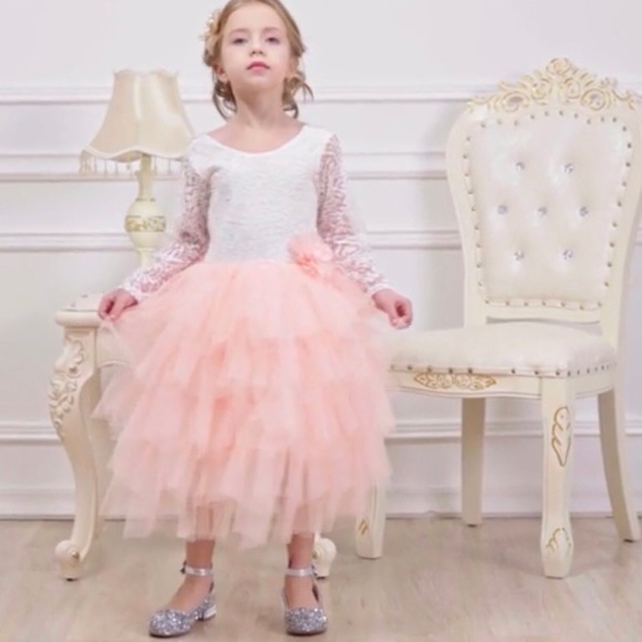 ππHOST PICK 6/4ππ Blush/White Lace/Tulle Dress